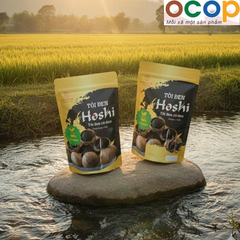TỎI ĐEN HOSI (Túi 500g)