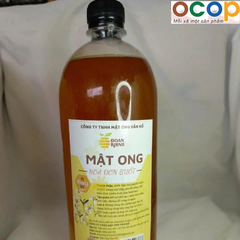 MẬT ONG HOA ĐƠN BUỐT (1000ml)