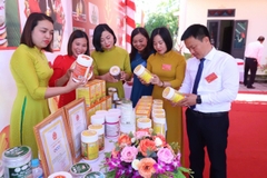 TINH BỘT NGHỆ THU HẰNG (Hộp 500g)
