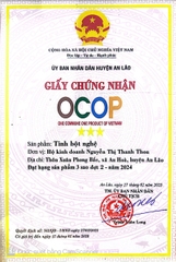 TINH BỘT NGHỆ-THANH THOA (200g)