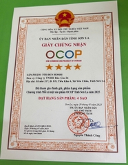 TỎI ĐEN HOSI (Túi 500g)