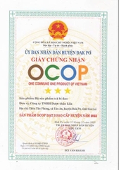 TRÀ BÍ ĐAO (Hộp thiếc 100g)