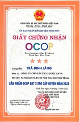 TRÀ ĐINH LĂNG (80g)