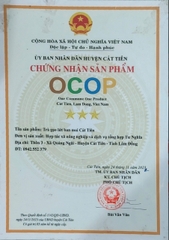 TRÀ GẠO LỨT BAN MAI CÁT TIÊN (20gói)