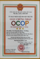 TRÀ GỪNG ĐEN TÚI LỌC - VÕ DŨNG (Hộp 15 túi lọc x 1.7g)