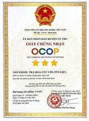 TRÀ HOA CÚC CHI TÚI LỌC LOTEKFARM (Hộp 25g)