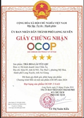 TRÀ HOA LÀI TÚI LỌC (45g)