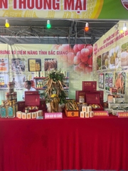 TRÀ HOA SÂM (Sâm nam núi dành - 200g)