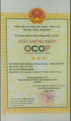 TRÀ KHỔ QUA RỪNG TÚI LỌC - MINH NGUYỄN (15 túi lọc)