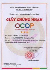 TRÀ LÁ SEN TÚI LỌC (50g)