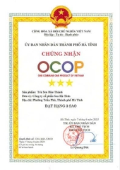 TRÀ SEN HÀO THÀNH (32 túi lọc)