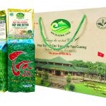 Trà Tân Cương Ướp Hoa Quỳnh (Nữ Hoàng Tân Cương)