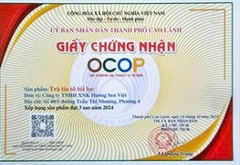 TRÀ TÍA TÔ TÚI LỌC (60g)