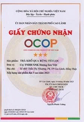 TRÀ KHỔ QUA RỪNG TÚI LỌC (50g)