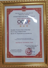 TRÀ TÚI LỌC CHÀM TÍA (NỌONG HUẾ - HATODO)