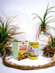 VIÊN NGHỆ MẬT ONG ( 500g )