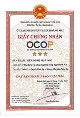 VIÊN NGHỆ MẬT ONG ( 500g )