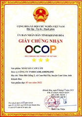 XOÀI SẤY CAM LÂM (Hũ 300g)