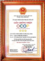 NƯỚC CHẤM CÁ CƠM ( 700ml )