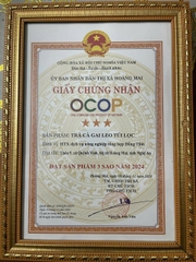 TRÀ CÀ GAI LEO TÚI LỌC - ĐỒNG TÂM (150g)