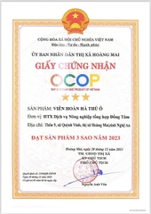 HÀ THỦ Ô ĐỎ- ĐỒNG TÂM (500g)