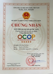 MIẾN DONG TÀI HOAN-SỢI TO (Gói 500g)