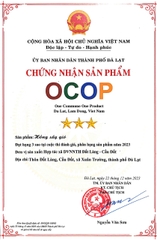 HỒNG SẤY GIÓ (500g)