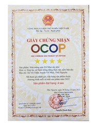 NÕN MĂNG NỨA SẤY KHÔ (100g)