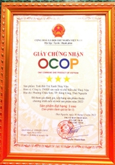 TINH BỘT TRÀ XANH THUÝ VÂN (100g)