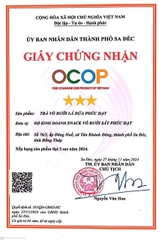 TRÀ VỎ BƯỞI LÁ DỨA PHÚC ĐẠT (40g)