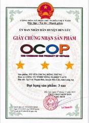 TỔ YẾN CHƯNG ĐÔNG TRÙNG HẠ THẢO (Lốc 6 lọ)