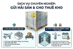 Cho thuê gửi hải sản đông lạnh đi sân bay