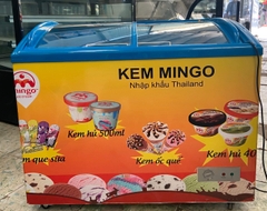 Tủ đông Sanaky kiếng lùa VH3899K