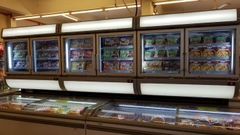 Tủ đông The Cool Diana Top TC260DW