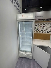 Tủ đông 1 cánh Iarp 500 lít