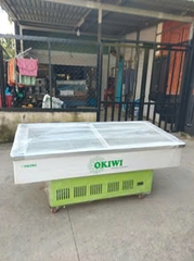 Tủ đông Okiwi NB-1202FG
