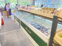 Tủ đông Panasonic LDG -219LVC