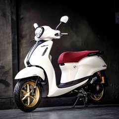 PHUỘC OHLINS YA325 - GRANDE