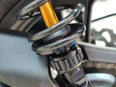 Datbike QUANTUM nâng cấp phuộc RCB VD Series