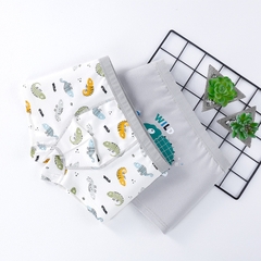 Combo 2 quần lót cotton kháng khuẩn in hoạt hình nhiều size cho bé trai