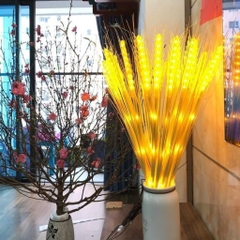 Set 10 bông lúa có LED trưng Tết