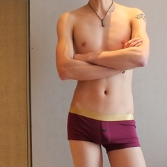 Quần lót boxer nam WANGJIANG kiểu dáng cài cúc mới lạ