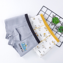 Combo 2 quần lót cotton kháng khuẩn in hoạt hình nhiều size cho bé trai