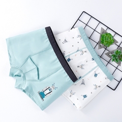 Combo 2 quần lót cotton kháng khuẩn in hoạt hình nhiều size cho bé trai