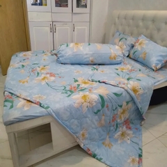 Bộ drap mền poly PL08
