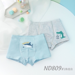 Combo 2 quần lót cotton kháng khuẩn in hoạt hình cho bé trai