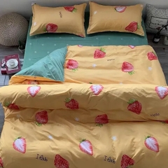 Bộ chăn drap gối cotton Korea NS270