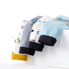 Combo 2 quần lót cotton kháng khuẩn in hoạt hình nhiều size cho bé trai