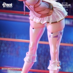 [Pre Order] MÔ HÌNH NyanNyan Girl Wrestler Casey 1/6 Complete Figure(Animester) FIGURE CHÍNH HÃNG