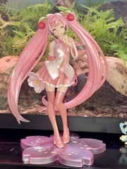 Hatsune Miku - Vocaloid - Sakura, 2021 Limited Ver. (Taito)